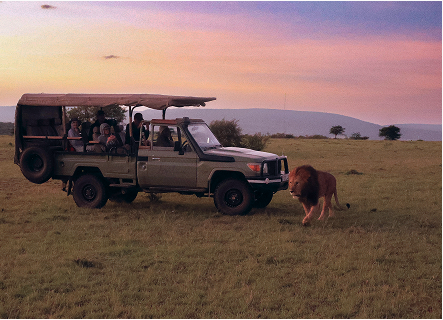 travel